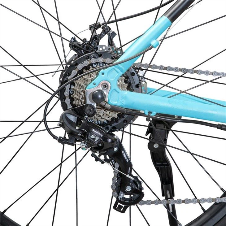 Electric Mountain Bike suppliers
