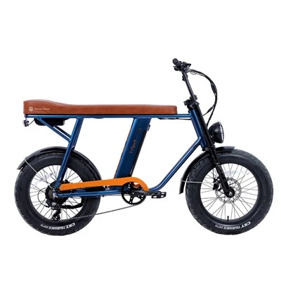 20 אינץ' 48V 500W סגסוגת Samsung Li-Ion Fat E-Bike