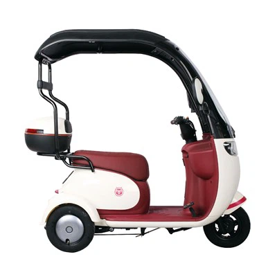תלת אופן ממונע למבוגרים 650W 60V/48V