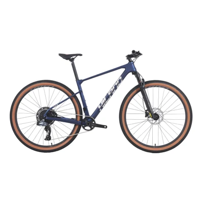 Joykie China 29 "אופני הרים עמידים למזלג חיצוני Off - כביש 12 אופניים מהירות